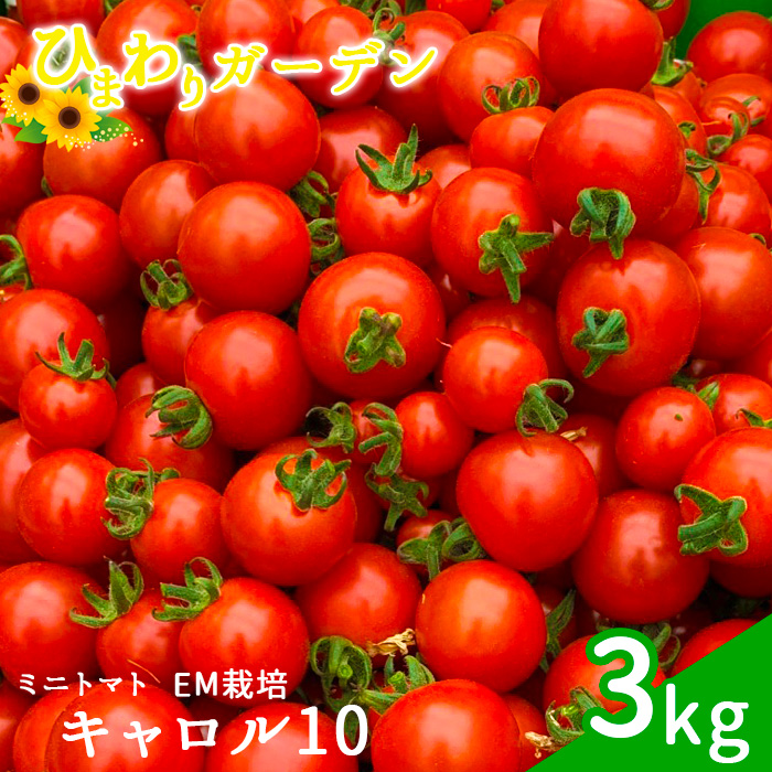 BM-001-A [EM栽培]ミニトマト/キャロル10 [約3kg]ひまわりガーデン 産地直送