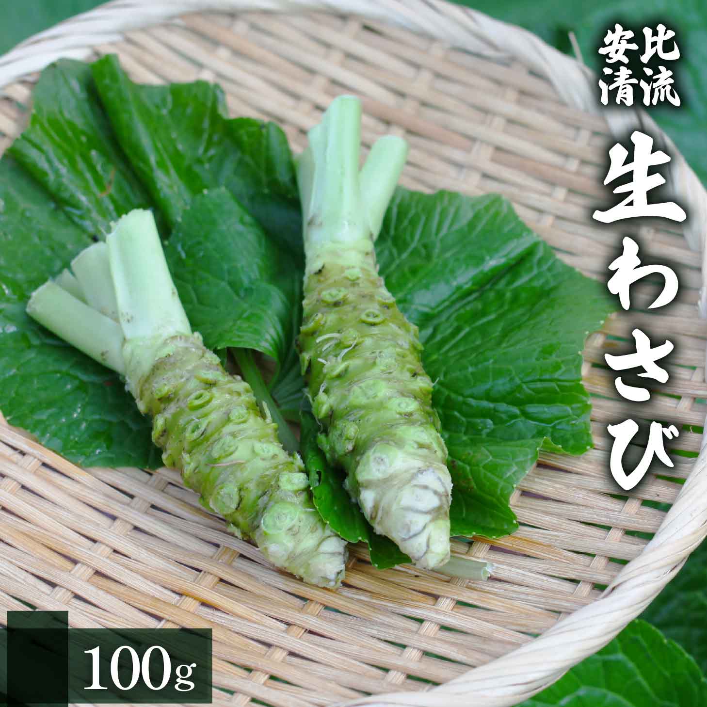 AE-011-C 生わさび 100g [安比清流山葵園]