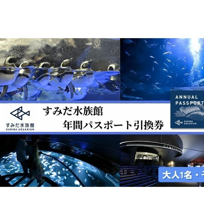 すみだ水族館 年間パスポート すねた 引換券 1枚