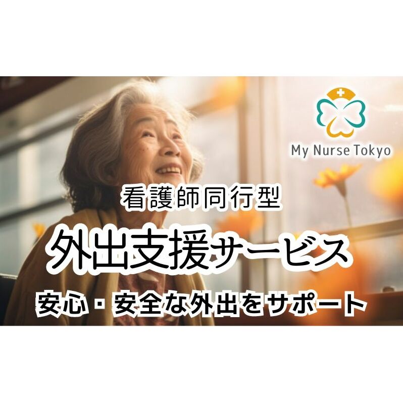 看護師同行 外出支援サービス 6時間コース 介護旅行 医療従事者 看護師 チケット 