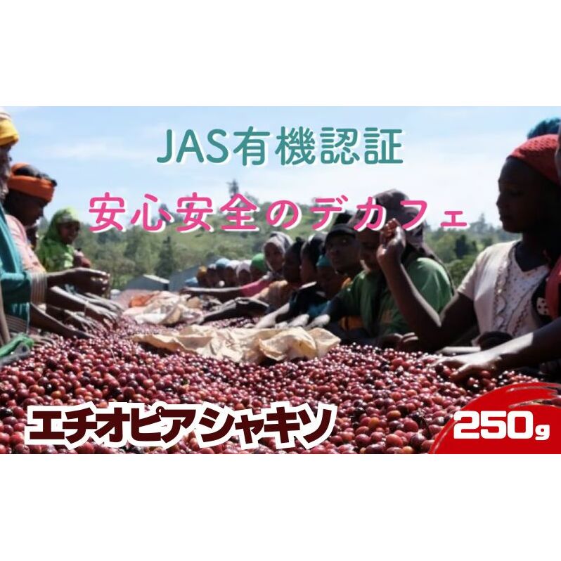 【デカフェ&オーガニック】エチオピア シャキソ 250g ドリンク コーヒー スペシャルティコーヒー