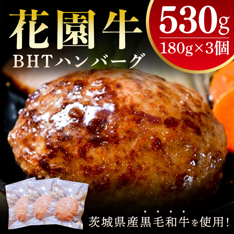 花園牛 BHTハンバーグ 180g×3個【ハンバーグ 肉 お肉 贅沢 冷凍 茨城県 北茨城市】(BY002)