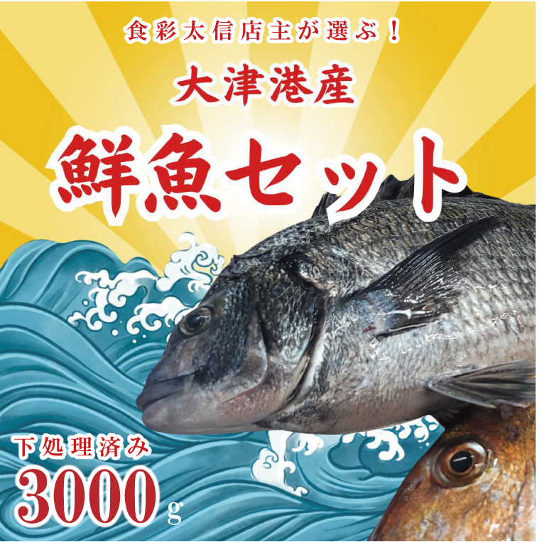 飲食店『食彩太信』店主が選ぶ！大津港地魚鮮魚セット　下処理済み【賞味期限：到着後、冷蔵保存で3日間】(AA205)