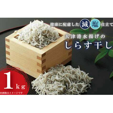 AS203　大津港水揚げのしらす干し１kg