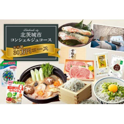 【提案型】コンシェルジュコース(30万円)(BM103)