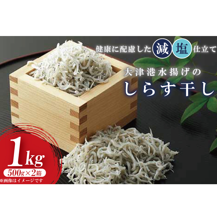 AS206 大津港水揚げのしらす干し 1kg(500gx2箱)