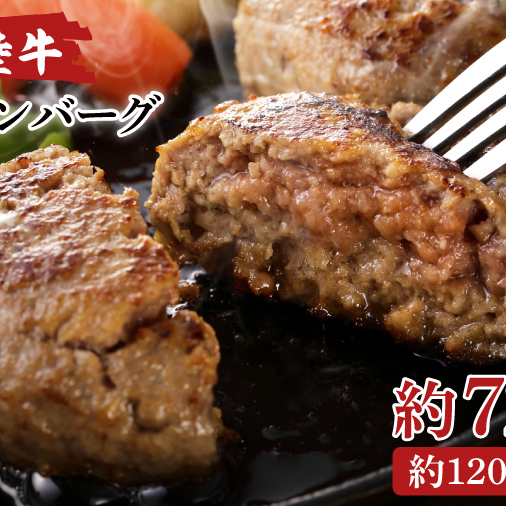 常陸牛生ハンバーグ 120g×6【ひたちぎゅう お肉 焼くだけ ジュージー】(AA216)