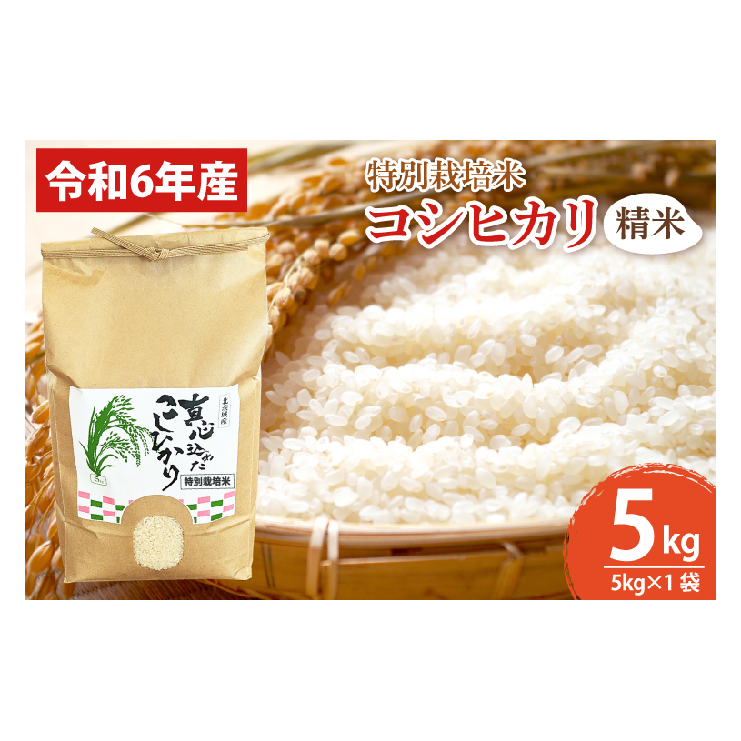 BN004 【先行予約】【令和6年産】【数量限定】新米 コシヒカリ精米5kg  特別栽培米