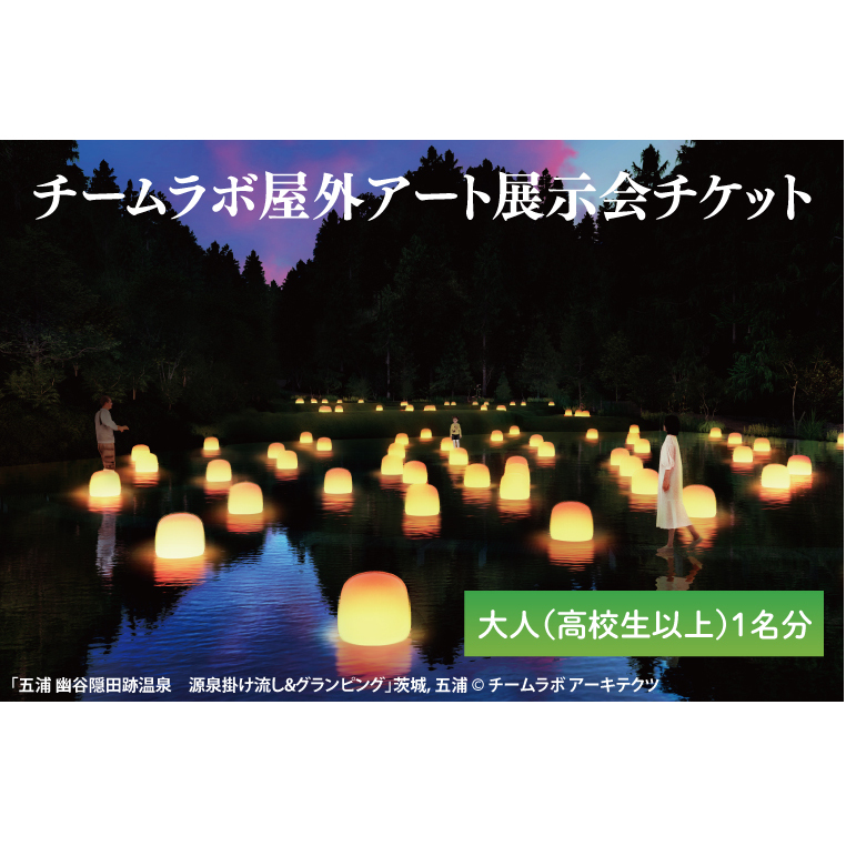 チームラボ屋外アート展示会チケット大人(高校生以上)1名分(CJ105)