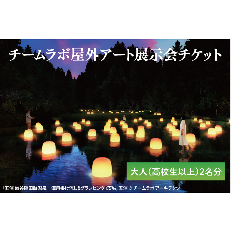 チームラボ屋外アート展示会チケット大人(高校生以上)2名分(CJ106)