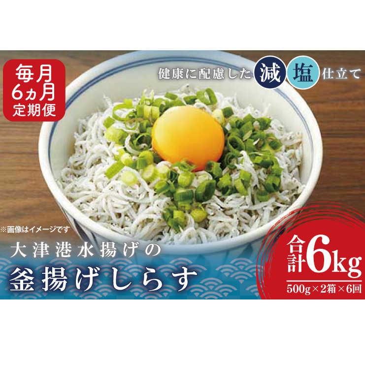 大津港水揚げの釜揚げしらす<6ヶ月定期便><毎月> 1kg×6回【海鮮 魚介類 しらす シラス ご飯のお供 たっぷり お手頃 個包装】(AS212)