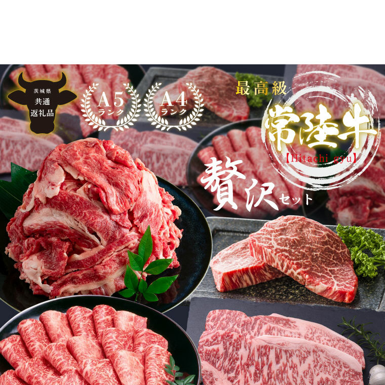 【12回定期便】最高級A4.A5ランク 常陸牛贅沢セット【人気肉 お肉 牛肉 和牛 黒毛和牛 国産黒毛和牛 ロース肉 ステーキ 国産牛 焼肉 焼き肉 バーベキュー BBQ A5 ブランド牛】（CR114）