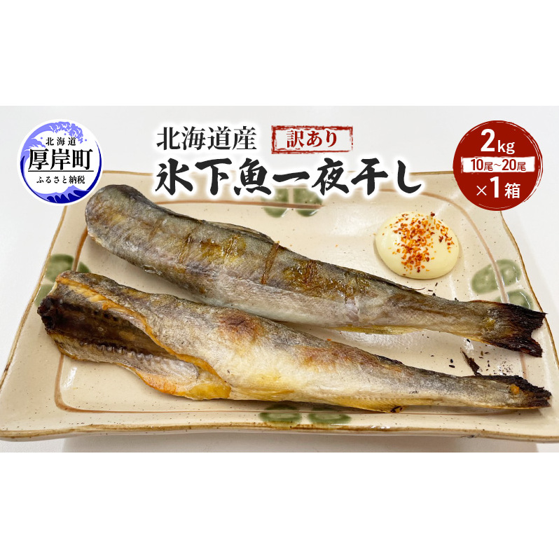 北海道産 訳あり 氷下魚 一夜干し 2kg こまい コマイ 魚 魚介類  白身魚 干物 ひもの 北海道 厚岸町