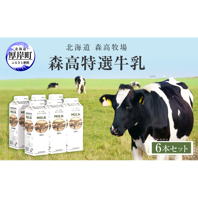 森高特選 牛乳 6本 セット (1本あたり1L×6本,合計6L) 北海道 牛乳 ミルク
