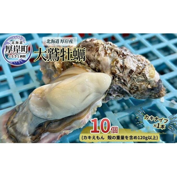 北海道 厚岸産 大鷲牡蠣 10個 カキ 牡蠣 殻牡蠣 魚貝類 海鮮 海の幸 生牡蠣 カキえもん 生食用牡蠣 殻付かき つまみ お酒のあて
