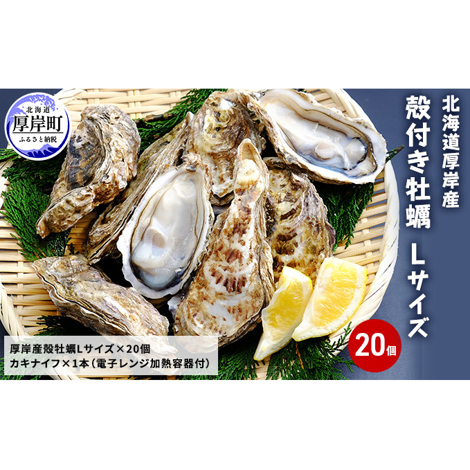 厚岸産 殻付き牡蠣Ｌサイズ20個入(加熱容器付)北海道 牡蠣 カキ かき 生食 生食用 ミルク レンジ 魚貝類 生牡蠣 送料無料 新鮮 濃厚 大粒 メルマガ掲載商品2 
