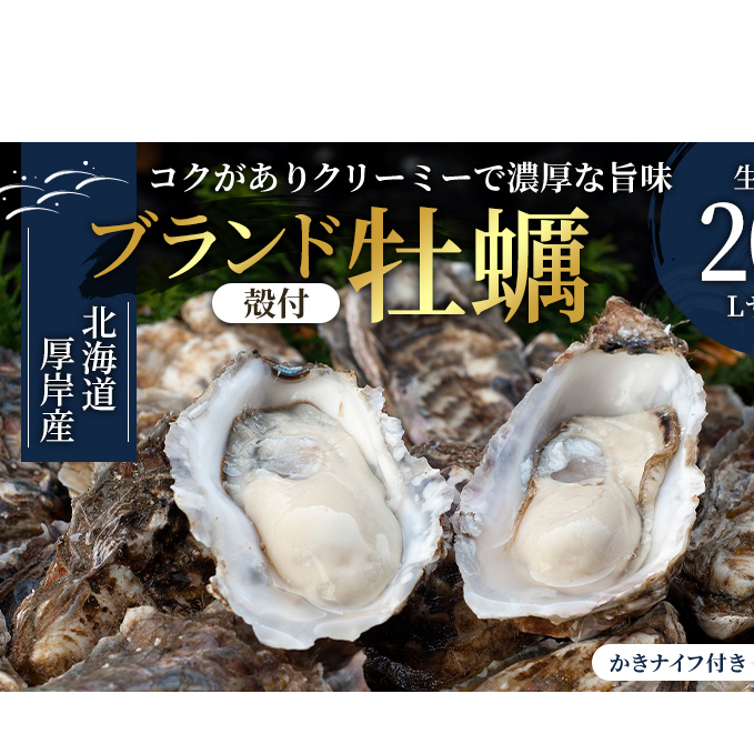 厚岸産 殻付カキLサイズ20個(生食用) 魚貝類 生牡蠣 かき 牡蠣 マルえもん メルマガ掲載商品2
