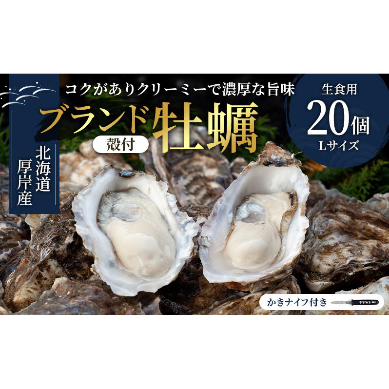 厚岸産　殻付カキLサイズ20個（生食用） 魚貝類 生牡蠣 かき 牡蠣 マルえもん メルマガ掲載商品2