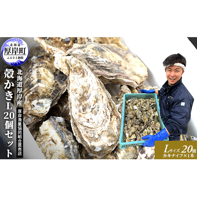厚岸産 殻かき L 20個セット 北海道 牡蠣 カキ かき 生食  魚介類 マルえもん