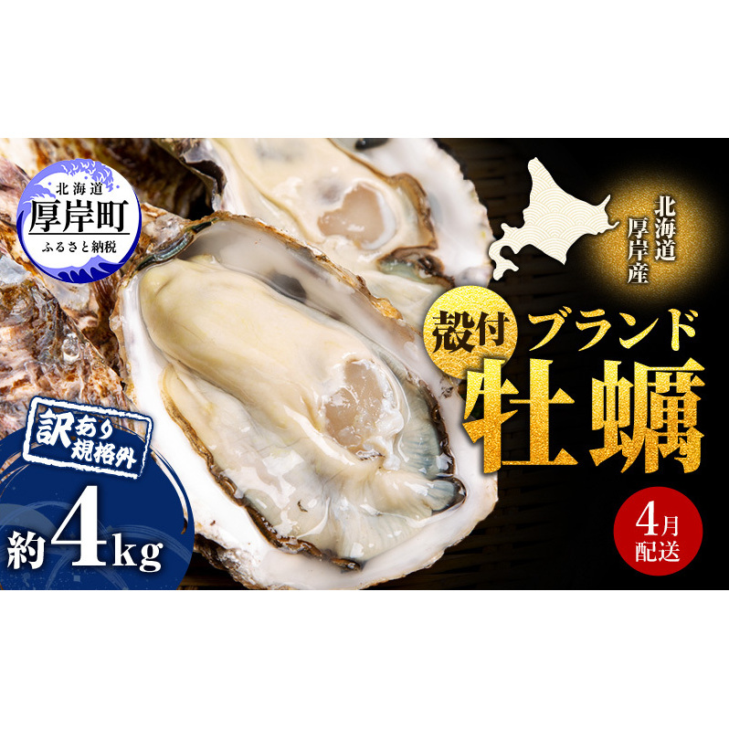 ４月発送 訳あり 牡蠣 北海道厚岸産 殻付カキ 約4kg (25から50個) カキナイフ付 生食 生牡蠣 貝付き牡蠣 貝 海鮮 魚介類 殻付き牡蠣 マルえもん