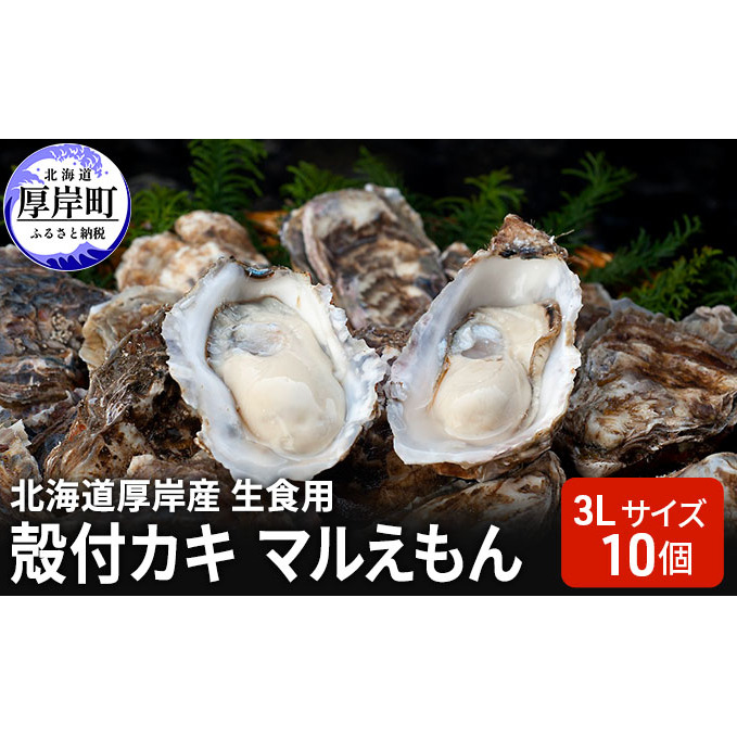 北海道厚岸産 生食用 殻付カキ3Lサイズ10個 マルえもん 魚貝類 海の幸 海のミルク 海鮮 国産 北海道産 オイスター つまみ お酒 あて 肴 生牡蠣 メルマガ掲載商品1