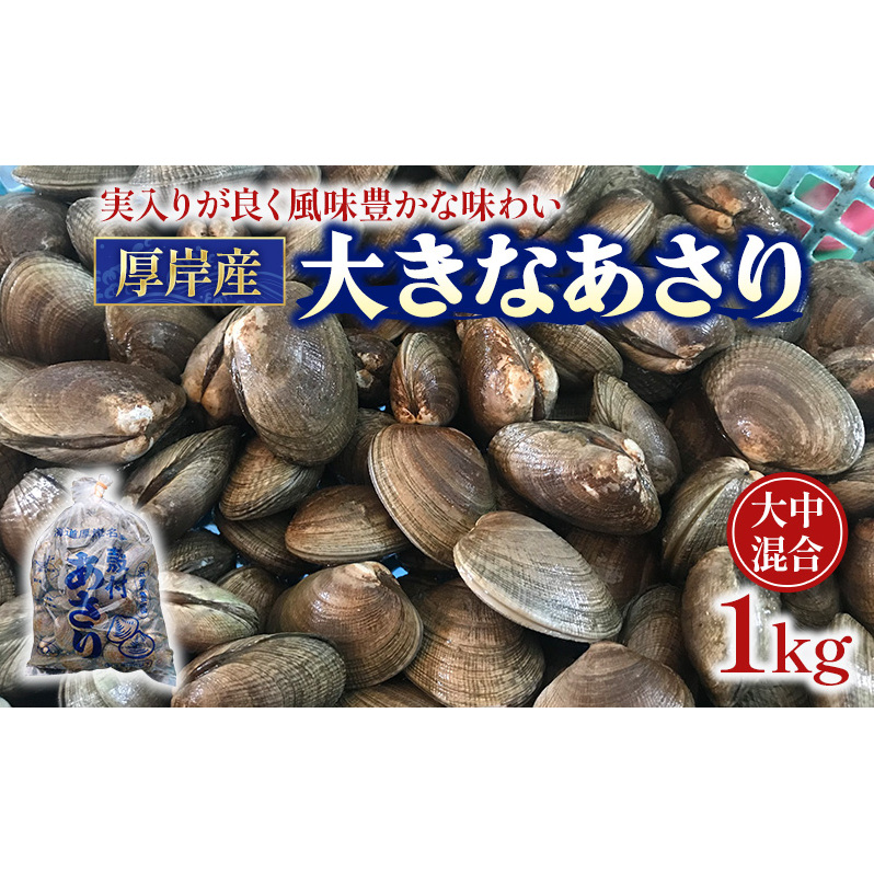 あさり 漁師から直で仕入れ！厚岸産の大きなあさり 1kg 海鮮 旨味 ミネラル豊富 タウリン アサリ みそ汁 酒蒸し 砂出し済 