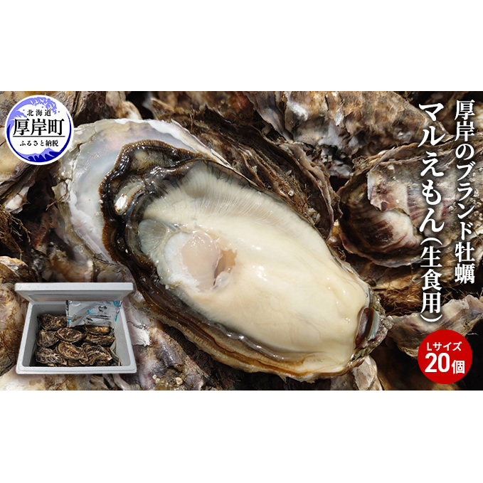 北海道厚岸町 ふるさと納税返礼品 牡蠣 厚岸のブランド牡蠣 マルえもん Lサイズ 20個 生食用