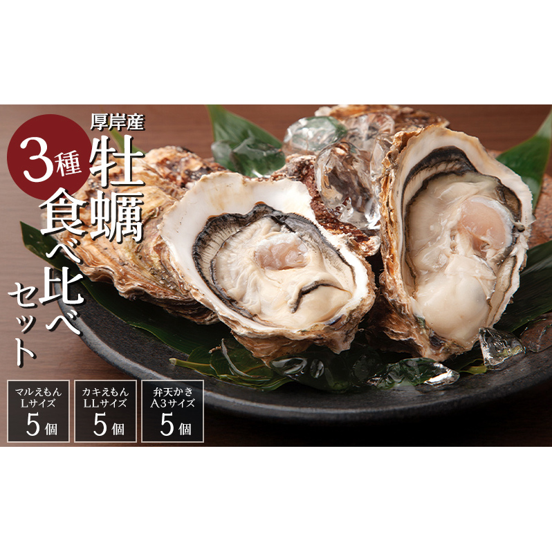 北海道 牡蠣 3種 食べ比べ セット 厚岸オイスターハーフ ★オールスターズ  生食