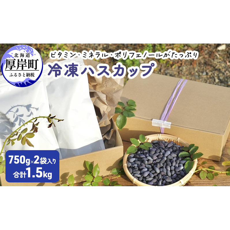 厚岸ハスカ 冷凍ハスカップ 2袋(750g×2 計1.5kg) アントシアニン スーパーフード 果実 ビタミン ミネラル 抗酸化作用 ポリフェノール 北海道産