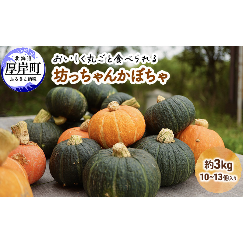 厚岸ハスカ 坊ちゃんかぼちゃ 約3kg（10～13個入り） 野菜 味が濃い 甘い 北海道産 北海道かぼちゃ パンプキン 