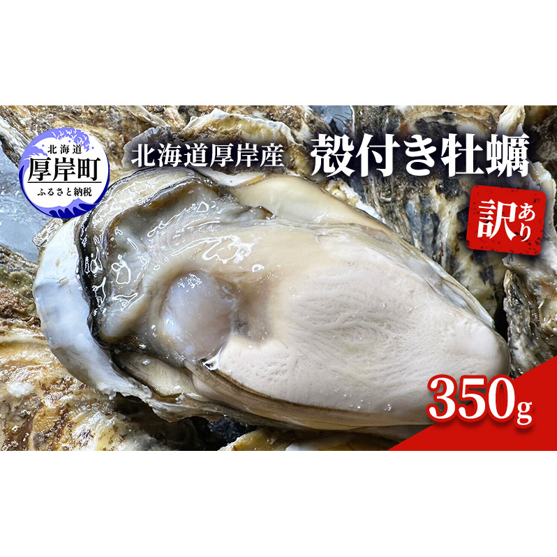 訳あり 北海道 厚岸産 殻付き 牡蠣 350g 魚貝類 生牡蠣 海の幸 海鮮 オイスター 濃厚な甘み グルメ マルえもん
