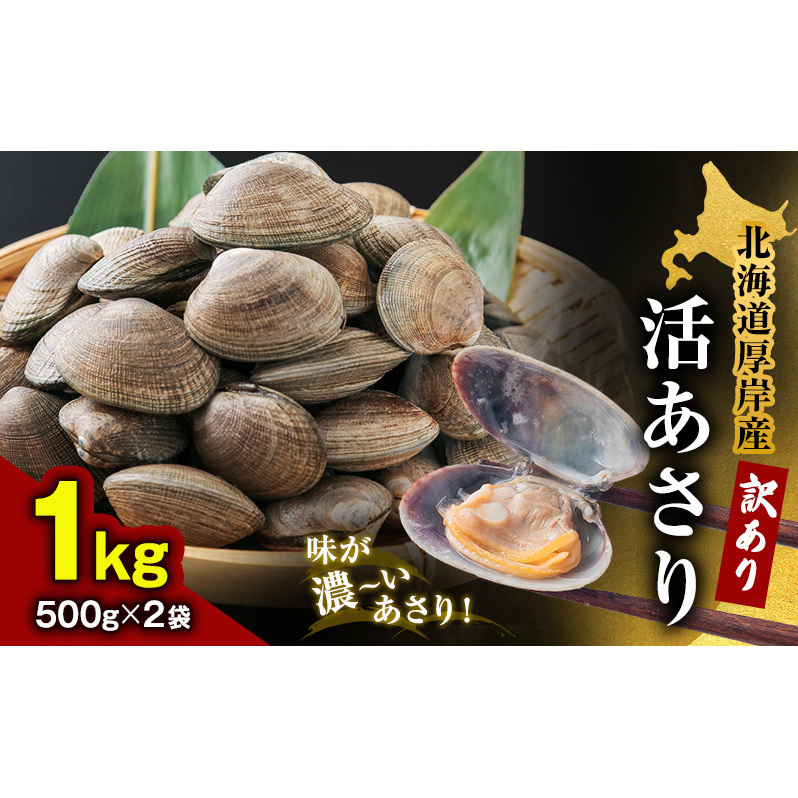 北海道 厚岸産 訳あり 活あさり 500g×2 (合計1kg) アサリ 魚貝 海鮮 大粒 美味しい 栄養 旨み 砂出し 水洗い 冷蔵 冷凍保存可能 便利 