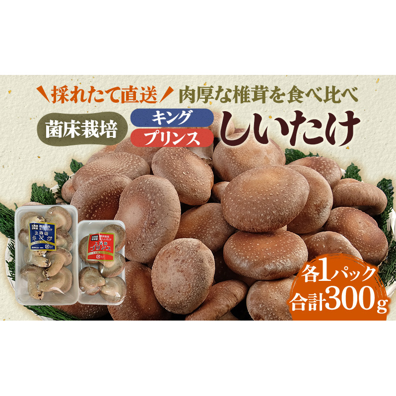 北海道産 厚岸町 上尾幌 菌床栽培 キングしいたけ プリンスしいたけ 各1パック 