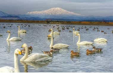 山形県真室川町