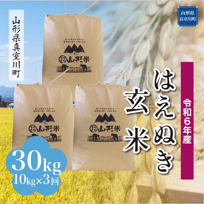 [令和6年産米 配送時期指定できます!] はえぬき[玄米]30kg 定期便 (10kg×3回) 真室川町