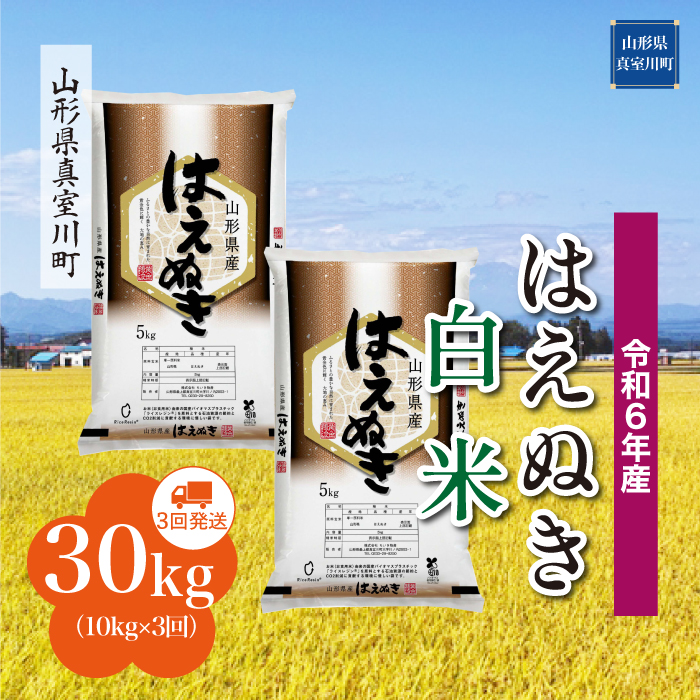 [令和6年産米 配送時期指定できます!] はえぬき[白米]30kg定期便 (10kg×3回) 真室川町