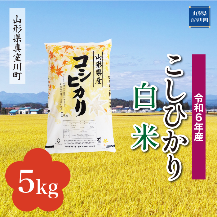 [令和6年産米 配送時期指定できます!] コシヒカリ [白米] 5kg (5kg×1袋) 真室川町