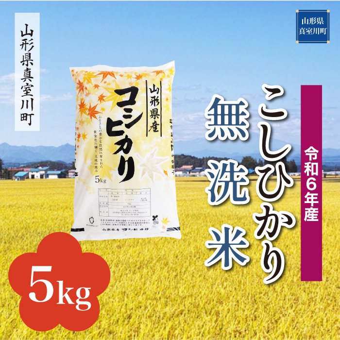 [令和6年産米 配送時期指定できます!] コシヒカリ [無洗米] 5kg (5kg×1袋) 真室川町