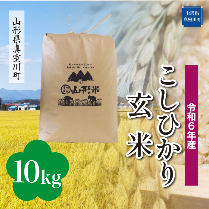 [令和6年産米 配送時期指定できます!] コシヒカリ [玄米] 10kg (10kg×1袋) 真室川町