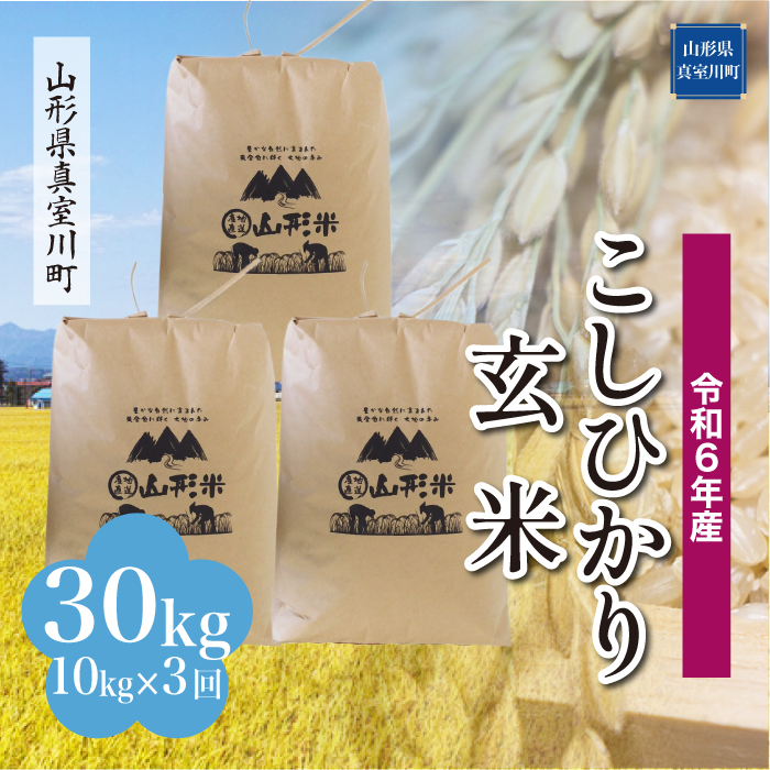 [令和6年産米 配送時期指定できます!] コシヒカリ[玄米]30kg 定期便 (10kg×3回) 真室川町