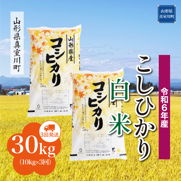 [令和6年産米 配送時期指定できます!] コシヒカリ[白米]30kg定期便 (10kg×3回) 真室川町