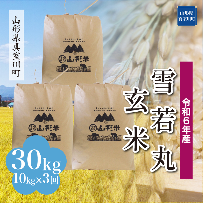 [令和6年産米 配送時期指定できます!] 雪若丸[玄米]30kg 定期便 (10kg×3回) 真室川町