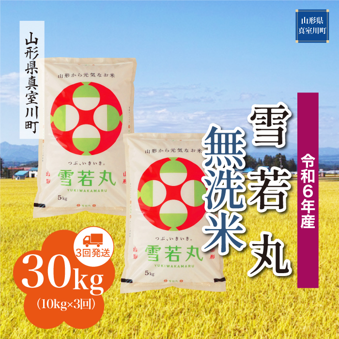 [令和6年産米 配送時期指定できます!] 雪若丸[無洗米]30kg定期便 (10kg×3回) 真室川町