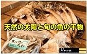 No.1084-1 一代目から続く製法！大満足の旬の干物セット