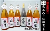【数量限定】No.4026-2 白玉醸造 魔王入り梅酒セット