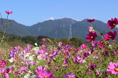 滋賀県日野町