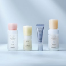 ドモホルンリンクル基本4点ハーフセット(宇城市)【1586674】