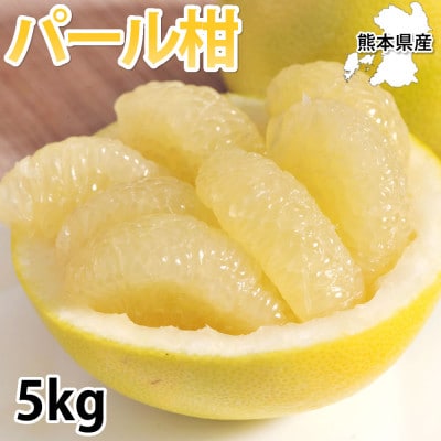 パール柑 5kg【2026年2月上旬から2026年4月下旬発送予定】(宇城市)【1590156】