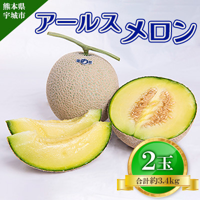 アールスメロン 2玉入り 合計約3.4kg【2025年6月上旬から6月下旬発送予定】【1592696】