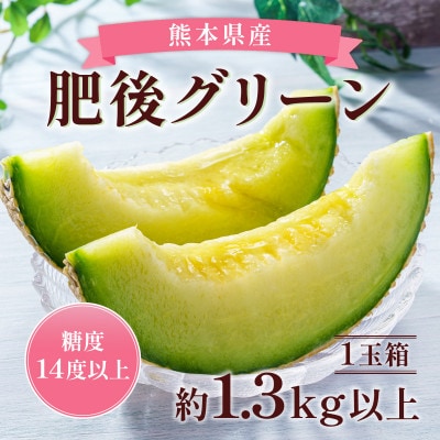熊本県産肥後グリーンメロン1玉 約1.3kg(宇城市)【配送不可地域:離島】【1612962】